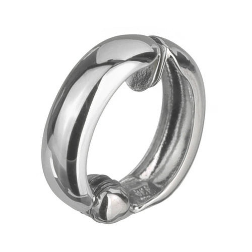 プラチナイヤリング