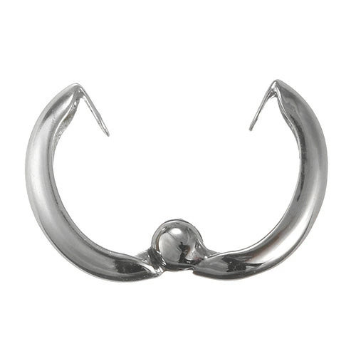 プラチナイヤリング